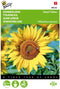 5 stuks - Buzzy - Helianthus annuus dwarf Yellow Tuinplus