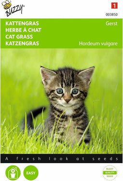 5 stuks - Buzzy - Kattengras Gerst