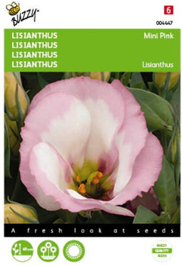 5 stuks - Buzzy - Lisianthus mini rose Tuinplus