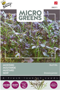 5 stuks - Buzzy - Microgreens Mosterd Red Frills