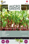 5 stuks - Buzzy - Microgreens Snijbiet gemengd