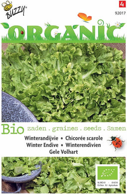 5 stuks - Buzzy - Organic Andijvie gele Volhart (Skal 14725)