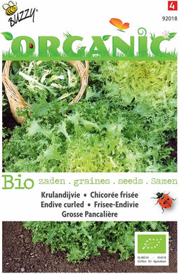 5 stuks - Buzzy - Organic Krulandijvie Pancaliere (Skal 14275)