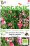 5 stuks - Buzzy - Organic Lathyrus odoratus Painted Lady (Skal 1472...