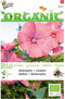 5 stuks - Buzzy - Organic Lavatera trimestris rose/rood (Skal 14275)