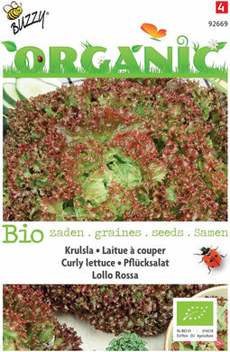 5 stuks - Buzzy - Organic Pluksla Lollo rossa (Skal 14275)