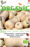 5 stuks - Buzzy - Organic Wintersquash Waltham Butternut (Skal 14275)