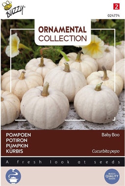 5 stuks - Buzzy - Ornamental Pompoen Baby Boo