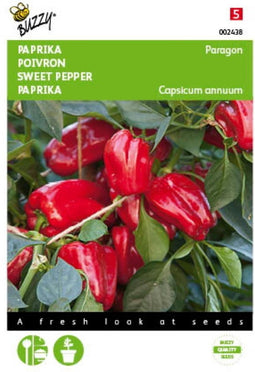 5 stuks - Buzzy - Paprika Snack Patio - rood - Paragon Tuinplus