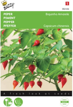 5 stuks - Buzzy - Peper Biquinho Amarela