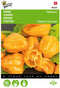 5 stuks - Buzzy - Peper Habanero oranje Tuinplus