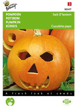 5 stuks - Buzzy - Pompoenen Jack O Lantern (Cucub.Pepo)