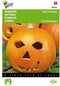 5 stuks - Buzzy - Pompoenen Jack O Lantern (Cucub.Pepo)