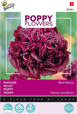 5 stuks - Buzzy - Poppies of the world - Papaver Black Paeony