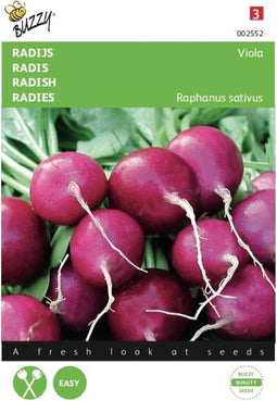 5 stuks - Buzzy - Radijs Viola