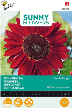 5 stuks - Buzzy - Sunny Flowers, Zonnebloem Moulin Rouge