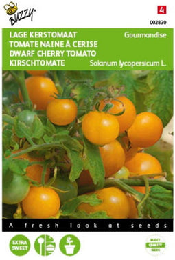 5 stuks - Buzzy - Tomaten Gourmandise (gele cherry patio) Tuinplus