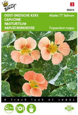 5 stuks - Buzzy - Tropaeolum majus nanum Alaska TT Salmon Tuinplus