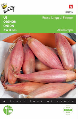 5 stuks - Buzzy - Uien rode van Florence