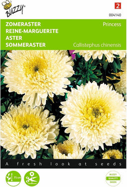 5 stuks Callistephus, Zomeraster Prinses goudgeel