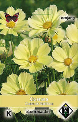 5 stuks Cosmos bipinnatus Xanthos