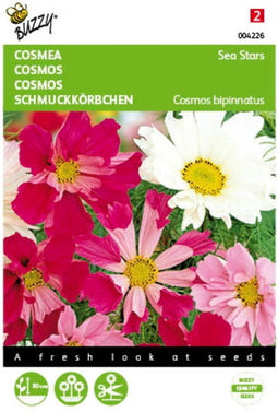 5 stuks Cosmos, Cosmea Sea Stars gemengd