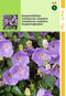 5 stuks - Hortitops - Campanula Carpatica blauw