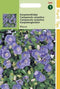 5 stuks - Hortitops - Campanula Carpatica blauw