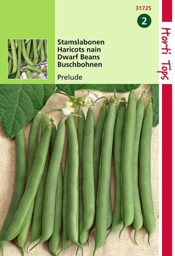 5 stuks - Hortitops - HT Stamslabonen Prelude, 25g
