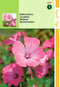 5 stuks - Hortitops - Lavatera Trimestris Rose Rood