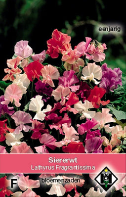 5 stuks Lathyrus odoratus Fragrantissima