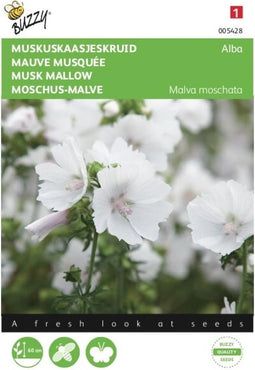 5 stuks Malva, Kaasjeskruid Alba wit