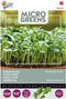5 stuks Microgreens Boerenkool