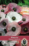 5 stuks Papaver rhoeas Parelmoer