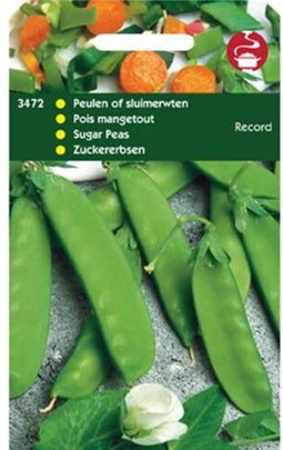 5 stuks Peulen Record