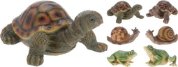 5 stuks! Schildpad Kikker Slak 6Ass