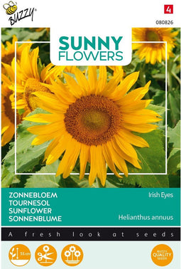 5 stuks Sunny Flowers, Zonnebloem Irish EyesBuzzy