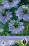 5 stuks Van Hemert & Co Nigella damas. Miss Jekyll Blauw