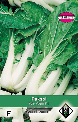 5 stuks - Van hemert co - Paksoi, Brassica chinensis Win Choi F1