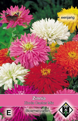 5 stuks Zinnia elegans Cactus Mix Van Hemert & Co