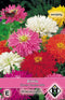 5 stuks Zinnia elegans Cactus Mix Van Hemert & Co