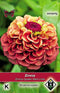 5 stuks Zinnia elegans Queen Red Lime Van Hemert & Co