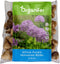 50 Allium Purple Sensation Bollen - Allium Bloembollen - Allium Bollen - Biologische Bloembollen - Zomerbollen - (XXL Bloembollen formaat 12/+ cm) - Organifer