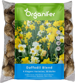 50 Narcissen Bloembollen - 6 Elegante Soorten - Bloembollen Narcis - Narcis Bollen - Biologische Bloembollen Mix - (XXL Bloembollen formaat 12/ 14 cm) - Organifer