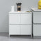 vidaXL - Dressoir - 70x41x75 - cm - bewerkt - hout - wit