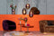 Bold Monkey Hypnotising Round bijzettafel goud