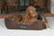 Scruffs Chester Box Bed - Hondenmand Stevig - Anti-Slip - Wasbaar - Bruin - L - 75 x 60 cm