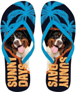 Slipper Berner Sennen - Flip Flop - Diverse dieropdrukken - Zwart blauw