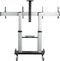 Startech.com STNDMTVDUO - Dual TV Standaard op Wielen - Verstelbare hoogte en kantelbaar - Max. 60