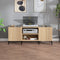 vidaXL - Platenkast - 121x38x48 - cm - bewerkt - hout - sonoma - eikenkleurig
